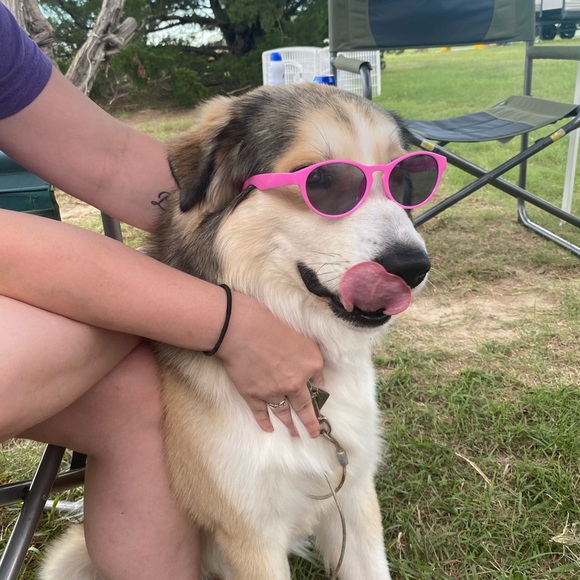 HIT THAT OFFER BUTTON!! ITEMS MUST GO!! - Picture 1 of 5